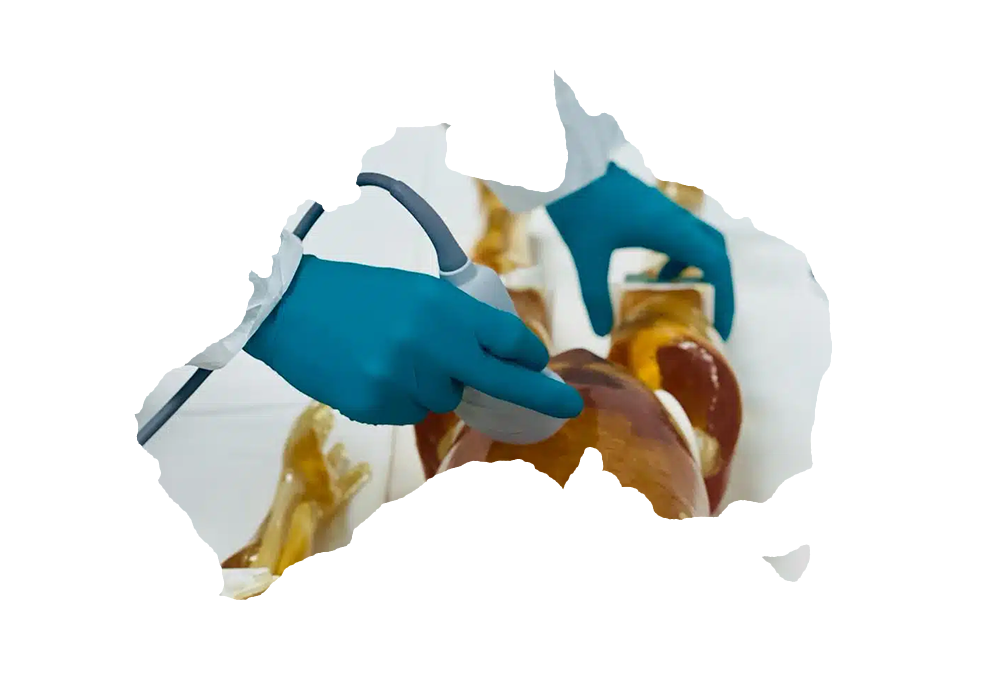 100-Australian-Company_HomePg