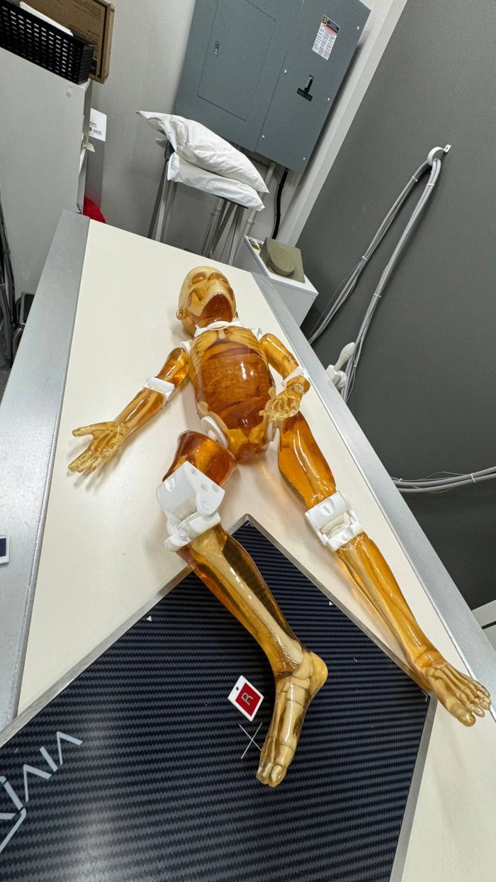 Pediatric Full Body (child) for X-Ray CT, MRI