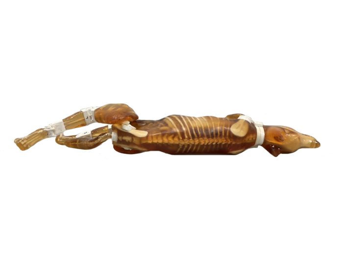 Dog Phantom Research - Image 3