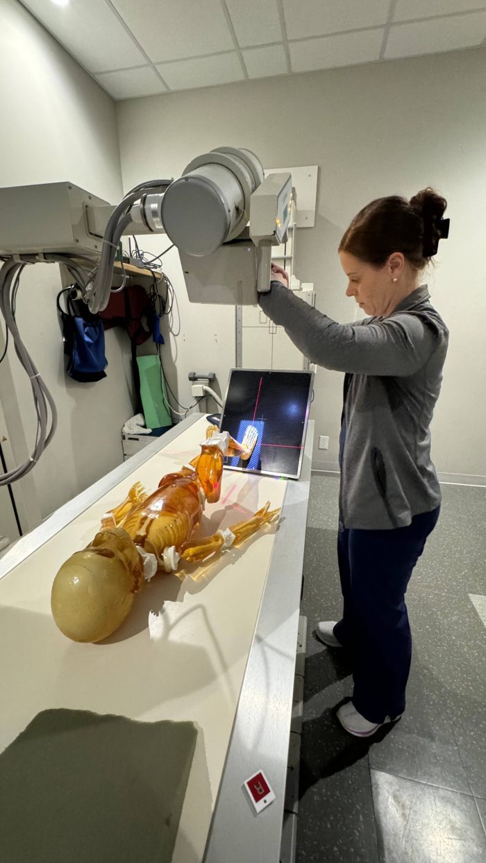 Pediatric Full Body (child) for X-Ray CT, MRI - Image 2