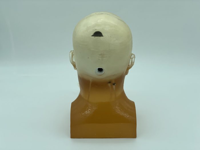 Adult Head (Standard) for X-Ray CT, US, MRI - Image 2