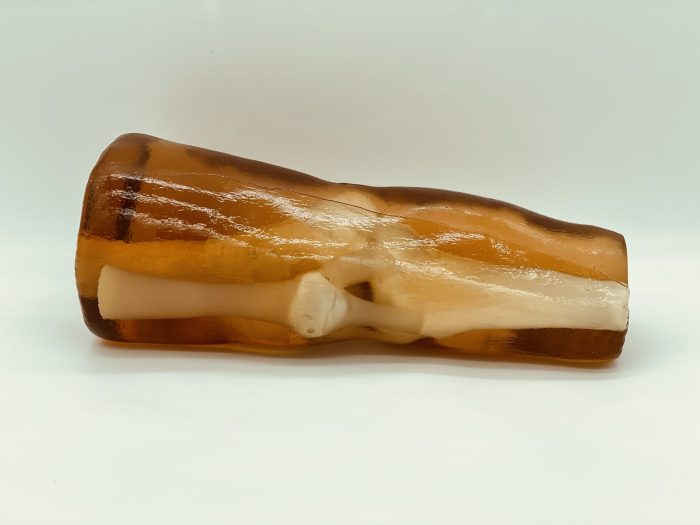 Adult Knee for X-Ray CT, MRI