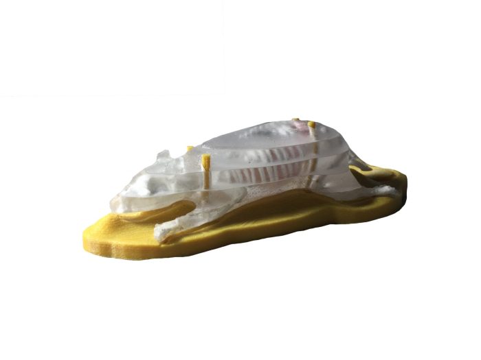 Sectional Mouse Phantom for Xray and CT - Image 2