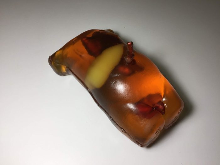 Newborn Torso (Transparent) for X-Ray CT, US