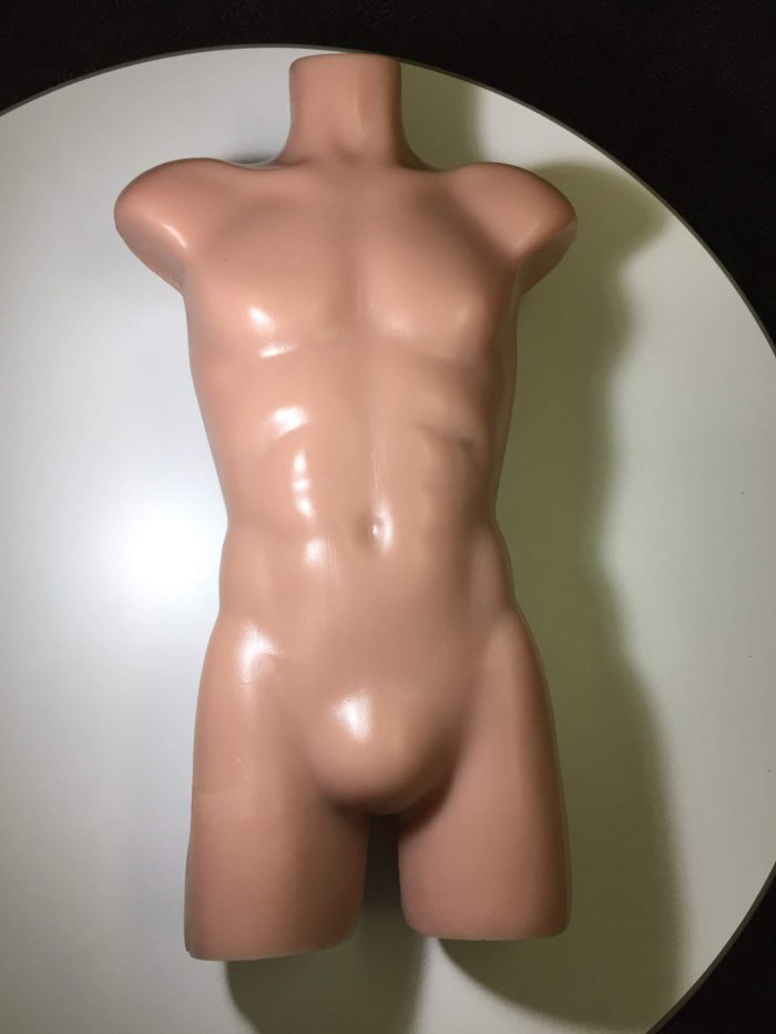 Adult Torso (Skin) for X-Ray CT, US