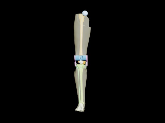 Adult Leg for X-Ray CT, MRI - Image 2
