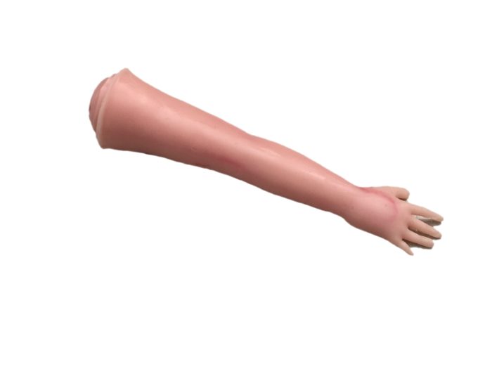 Newborn Arm for X-Ray CT, US - Image 2