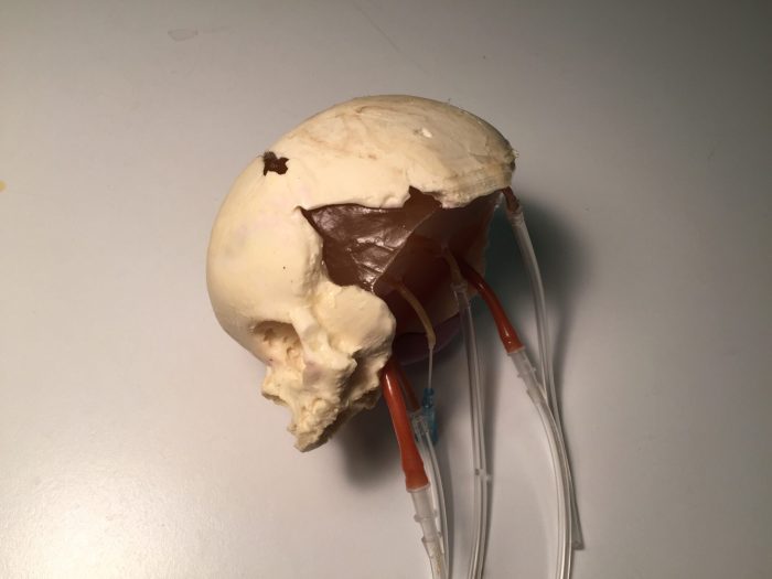 New Born Head (Dynamic) - Image 3