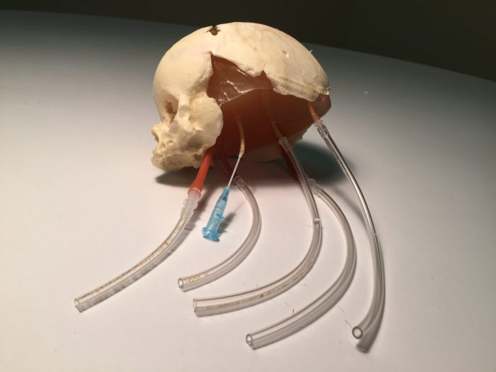 New Born Head (Dynamic) - Image 2