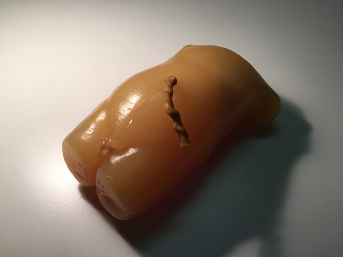 Newborn Torso for X-Ray CT, US - Image 2