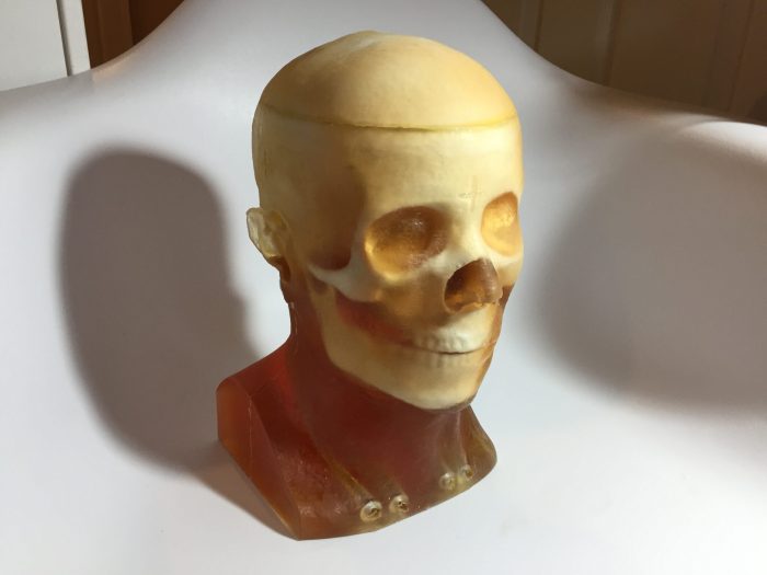 Adult Head (Openable) for X-Ray CT, US, MRI - Image 2