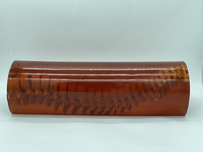 Adult Spine for X-Ray CT, US - Image 2