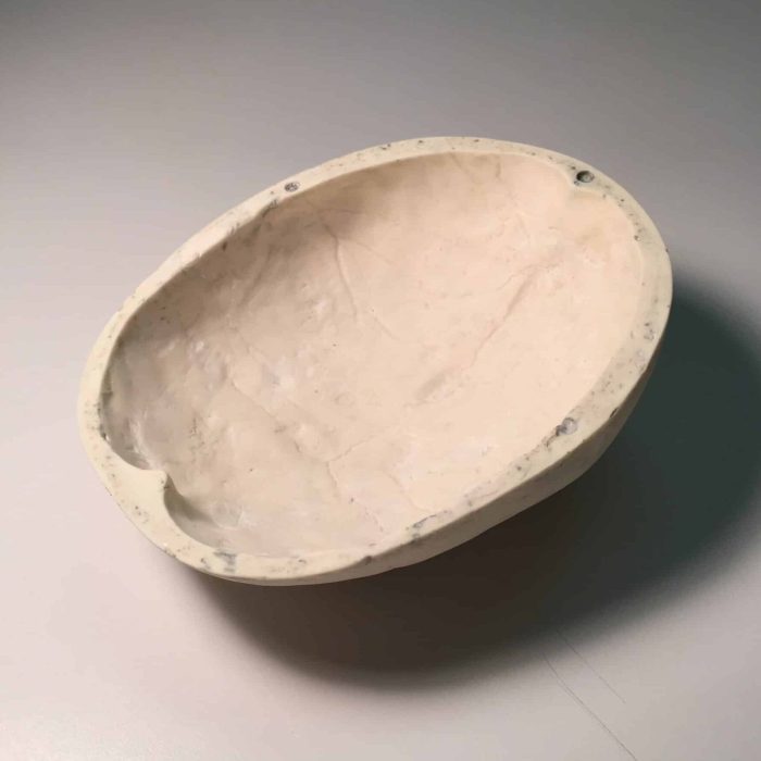 Standard Calvaria for HIFU - Image 2