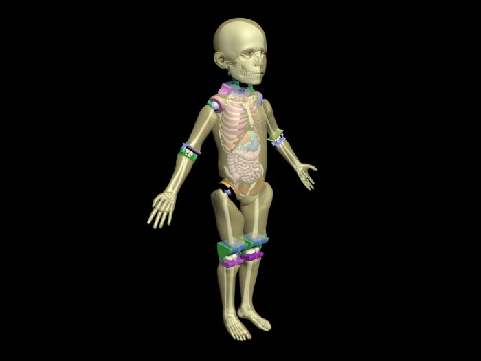 Pediatric Full Body (child) for X-Ray CT, MRI - Image 3